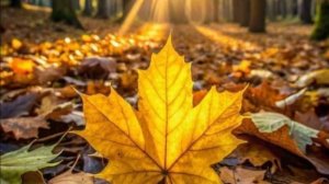 Добрый Вечер - Теплые слова и пожелания 🤗