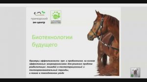 Лекция_Применение ЭМ для лошадей в конюшнях, КСК, подворьях