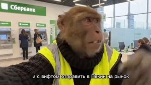 Жора банкир)