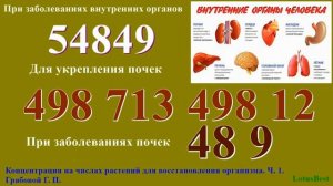 Г.П. Грабовой - Методы восстановления организма