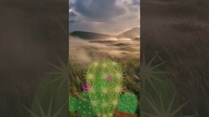 Я бываю такая разная...Стихи: Лариса Рубальская