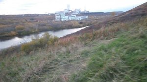 В тундре 14 09 2025 111