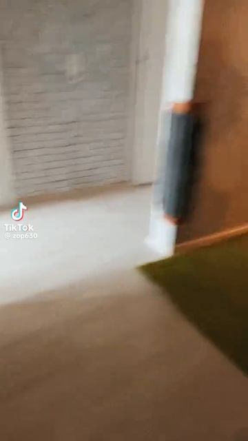 Тт смотреть онлайн