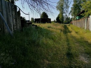 Ходила в парк за Сныть травой.. Её уже почти нет.