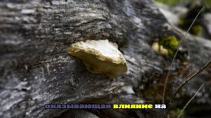 Прогноз погоды в Абхазии на понедельник 29 сентября