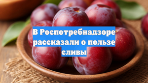 В Роспотребнадзоре рассказали о пользе сливы