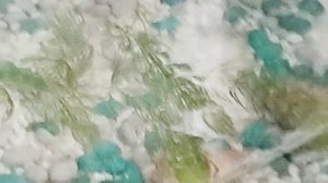 черепаха 3часьть