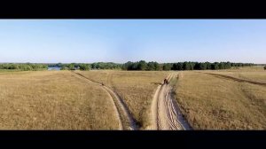 Игорь Дзреев - Струна 18+