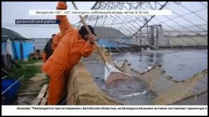 Форелевое хозяйство Чёрное море аквакультура