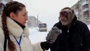 Жорик дает интервью)