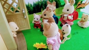 ГОСТИ У СЕМЬИ ЛАБРАДОРОВ