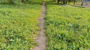 11 Рай-он. Зел.