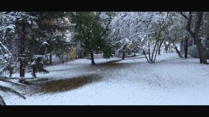 28-09-2025 Челябинская Область