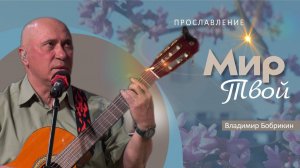 Мир Твой | Владимир Бобрикин