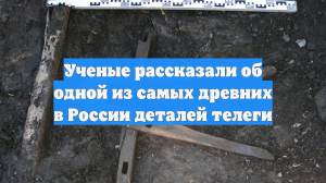 Ученые рассказали об одной из самых древних в России деталей телеги