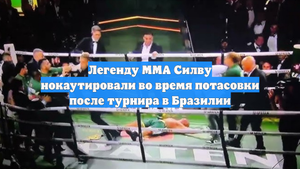 Легенду MMA Силву нокаутировали во время потасовки после турнира в Бразилии