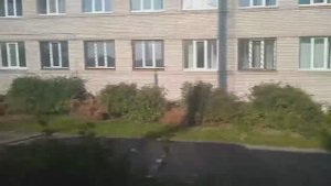 Зекинья де Абреу. Тико-тико