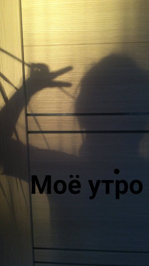 Моё утро доброе. 1 часть