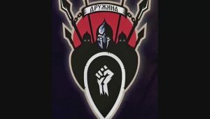 Kudo. СКЕ «Дружина»