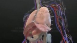 Методы Воскрешения. 7-8. Г. П. Грабовой. В. Сченснович.