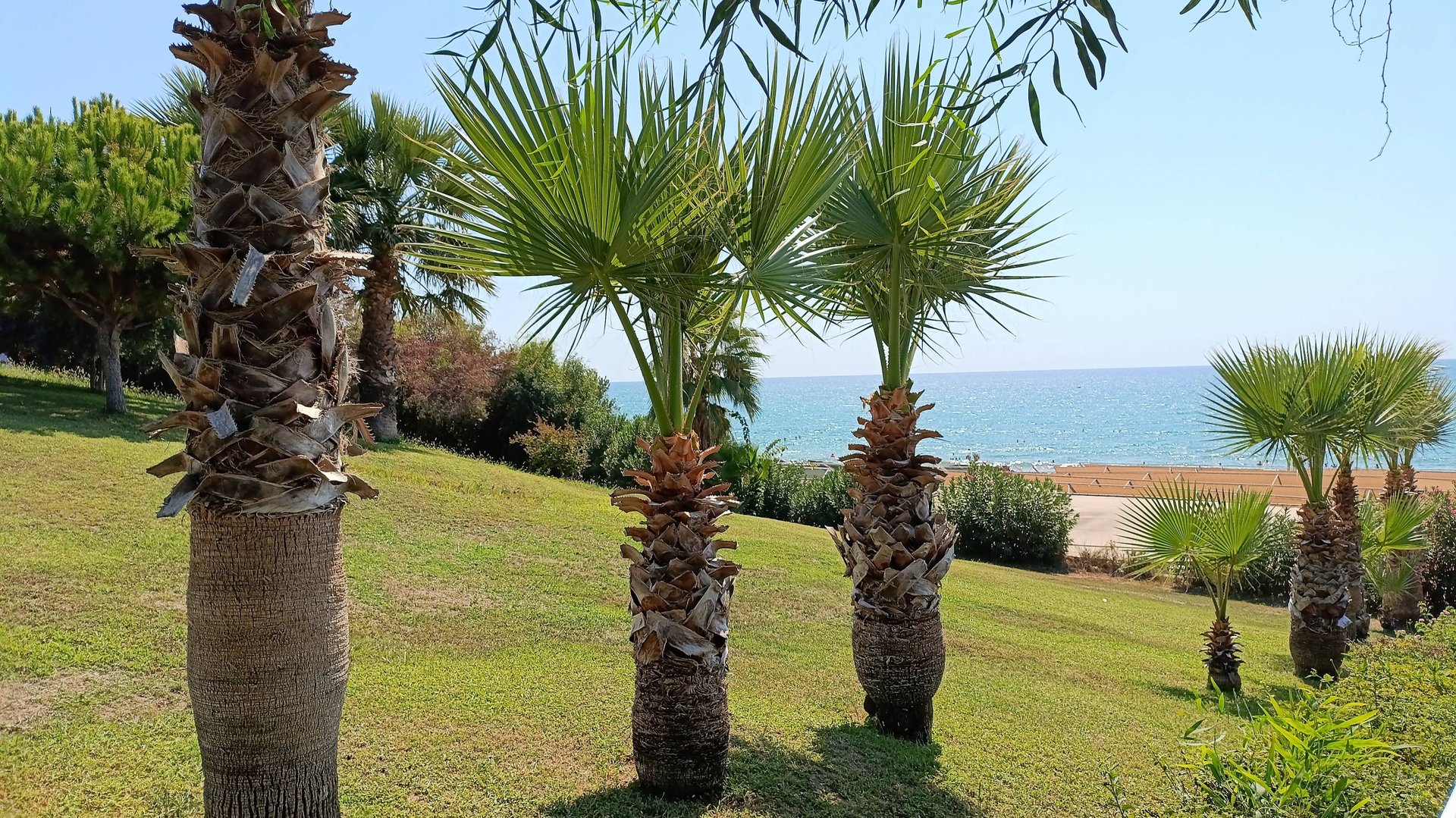 Отель Numa Club Side, Турция. Самый честный видео отзыв. Обзор пляжа отеля