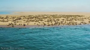 Океан (музыка ИИ)