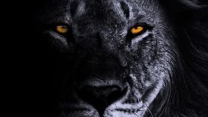 Умная собачка