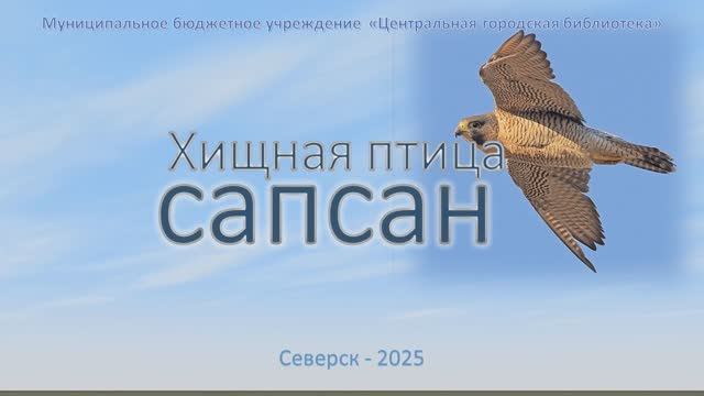 Онлайн-презентация «Хищная птица – сапсан» (12+)