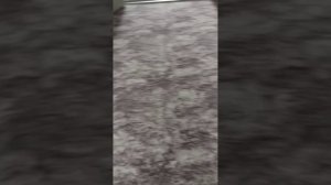 знакомство с васильком.