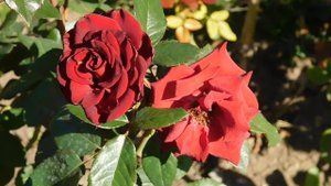 22==09==2025  ПВН  КМР   (226)