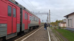 Приехали в гости к Сватам.
