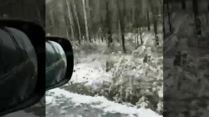 Снег выпал в Челябинской области — трассу М-5 сильно замело
