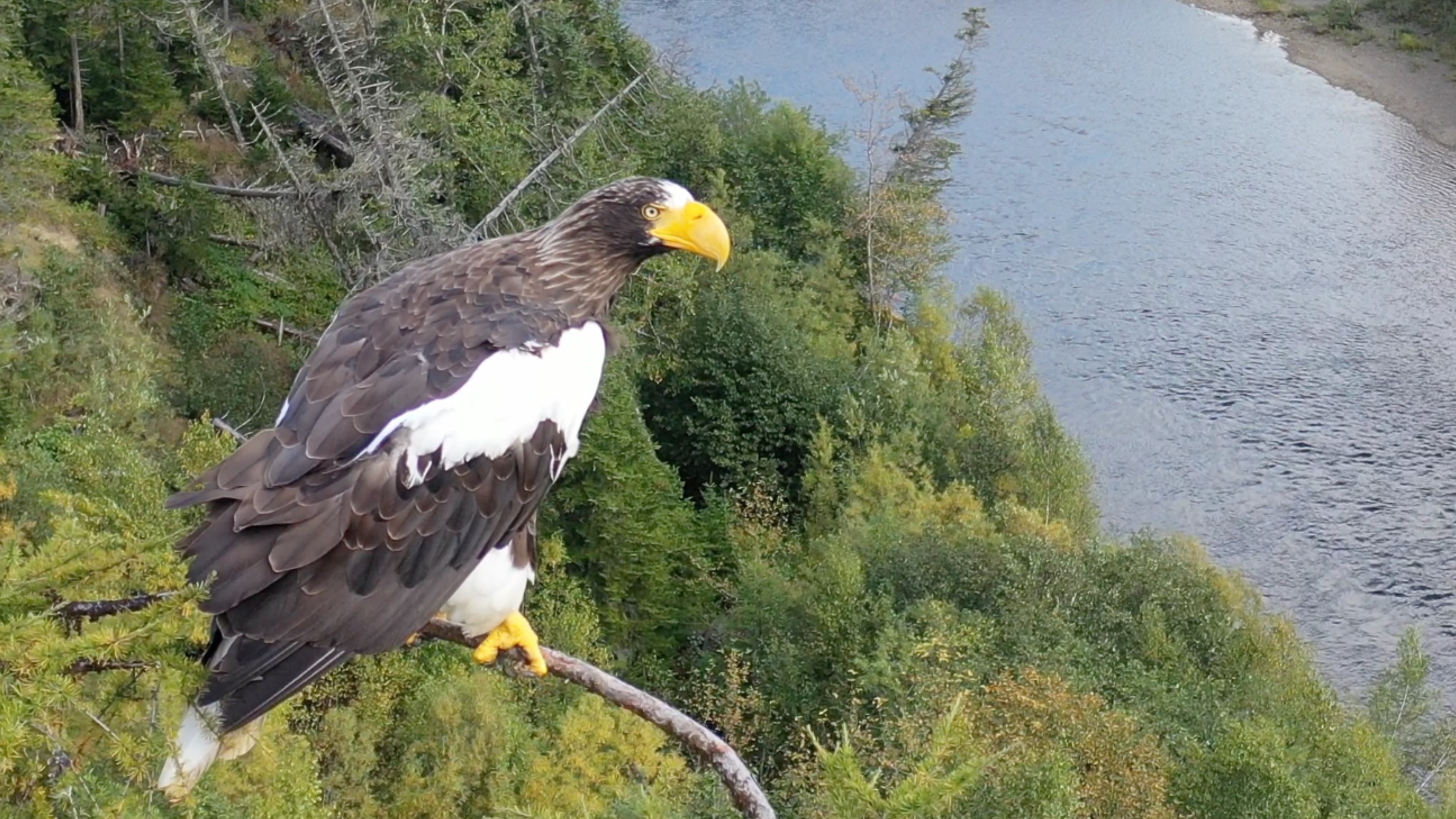 Набиль 2025 смотреть онлайн