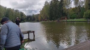 Рыбалка на верхнем водоёме. Клёвое место, Лосиный остров.