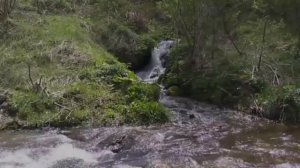 Манастирска езгија