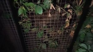 HHIE6710 Вечер 28.09.2025 видео от опекуна Светланы