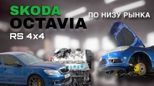 Skoda Octavia A5 RS по низу рынка! Ошибка?