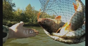 14.09.25 Михалыч отвёл душу