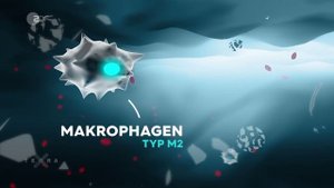 Фаза_распада_воспаления