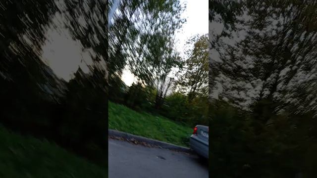 Едем с высокой горки смотреть онлайн