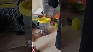 каменщик пятая часть