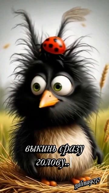 Выкинь голову смотреть онлайн