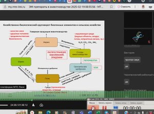 Лекция_ЭМ-Вита.Про для ППЖ