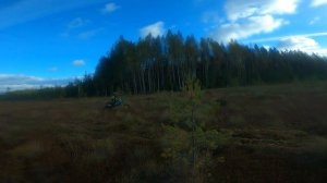 прохват по болоту 27,09,2025