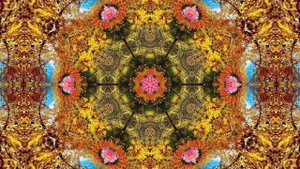 С Днём Рождения!!! Осенняя сказка 5!!!