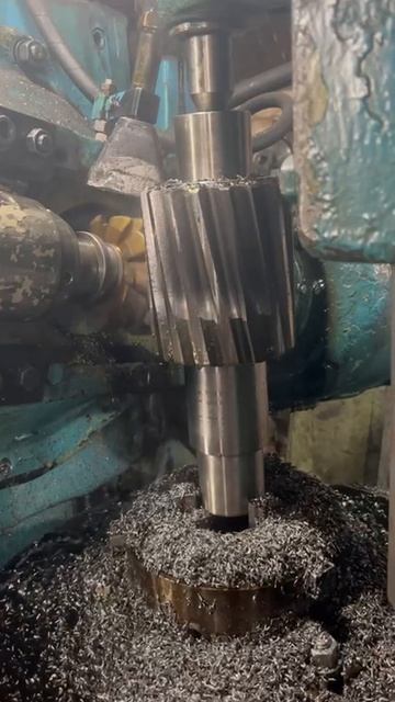 video5289909075847447760