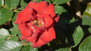 22==09==2025  ПВН  КМР   (224)