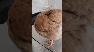 Отдых в Сочи