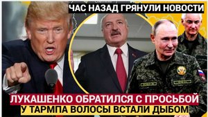ЭКСТРЕННЫЙ ЗВОНОК ЛУКАШЕНКО ТРАМПУ ПРОГРЕМЕЛ УТРОМ! ВОТ ЧТО ПОПРОСИЛ ВЫ НЕ ПОВЕРИТЕ