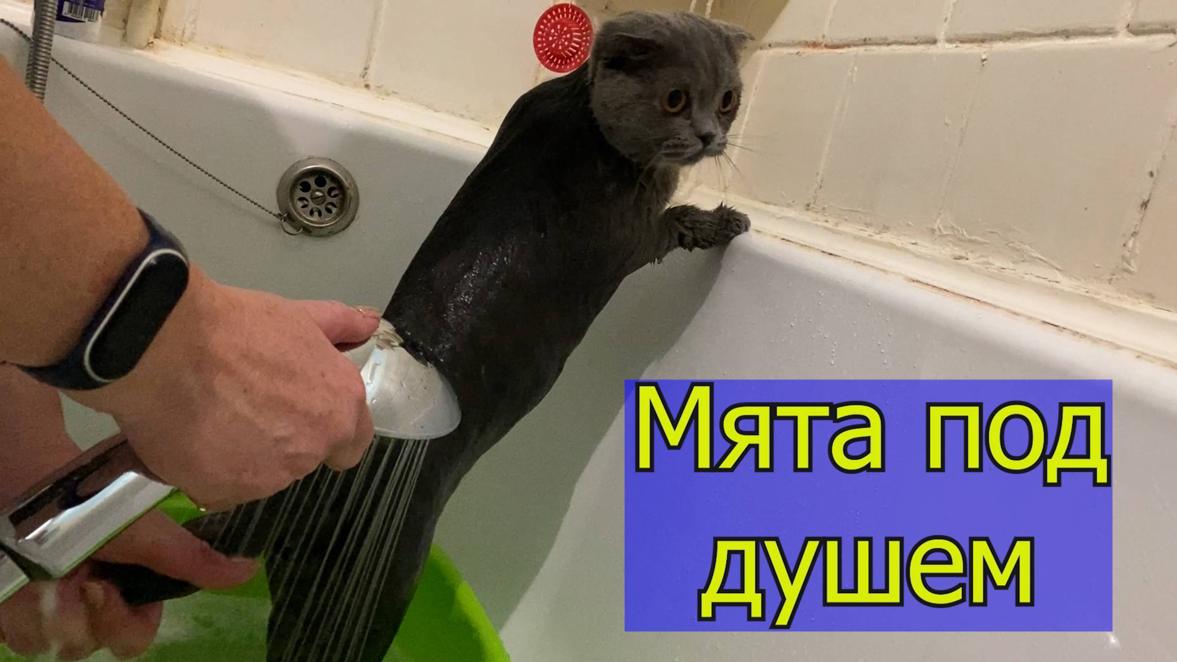 27.09 готовим дачу к зиме // ведьма на машине // Мятка под душем // глушак и дырки в порогах